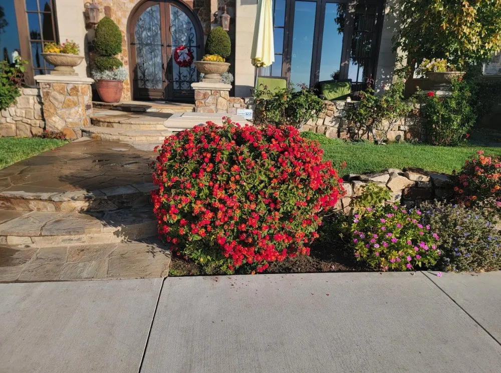 Affordable residential landscaping experts serving Costa Mesa, CA - Carlos Ceron Gardening Services