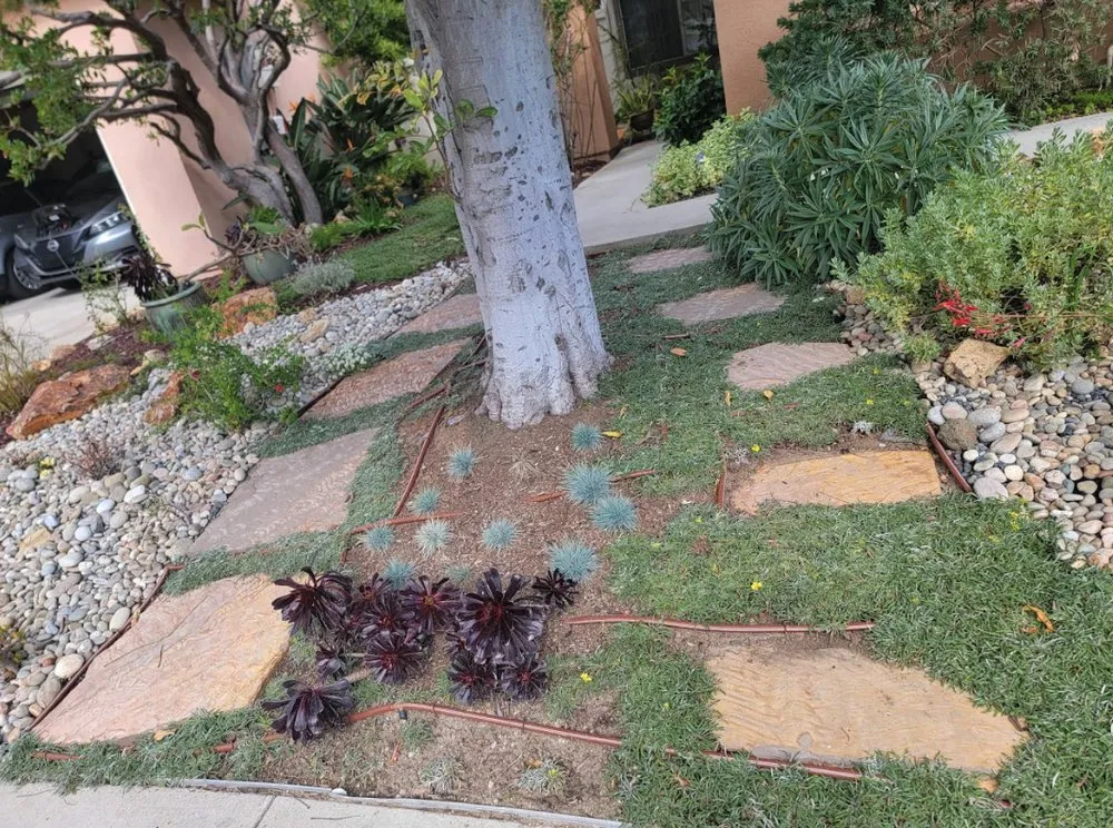 Local outdoor landscaping for beautiful yards across Costa Mesa, CA - Carlos Ceron Gardening Services