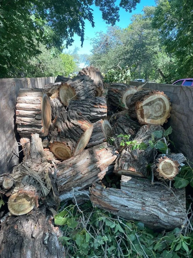 Local landscaping services experts serving Austin, TX - Carlos Cholon tree service landscaping