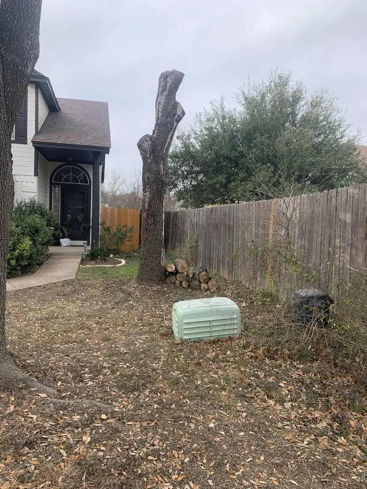 Professional landscape design in Austin, TX by Carlos Cholon tree service landscaping