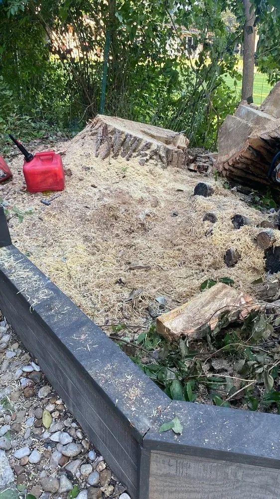 Reliable lawn care service for year-round maintenance across Austin, TX - Carlos Cholon tree service landscaping