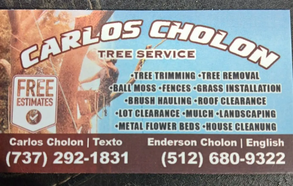 Expert outdoor landscaping for beautiful yards in Austin, TX by Carlos Cholon tree service landscaping
