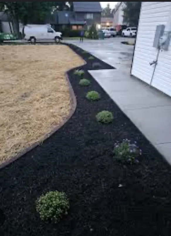 Reliable landscape installation in Austin, TX - Carlos Cholon tree service landscaping