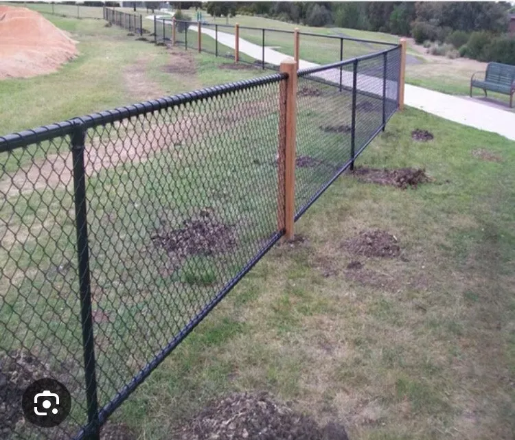 Custom lawn care service in Austin, TX - Carlos Cholon tree service landscaping