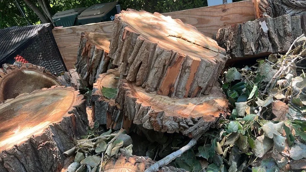 Top-rated lawn mowing service near you across Austin, TX - Carlos Cholon tree service landscaping