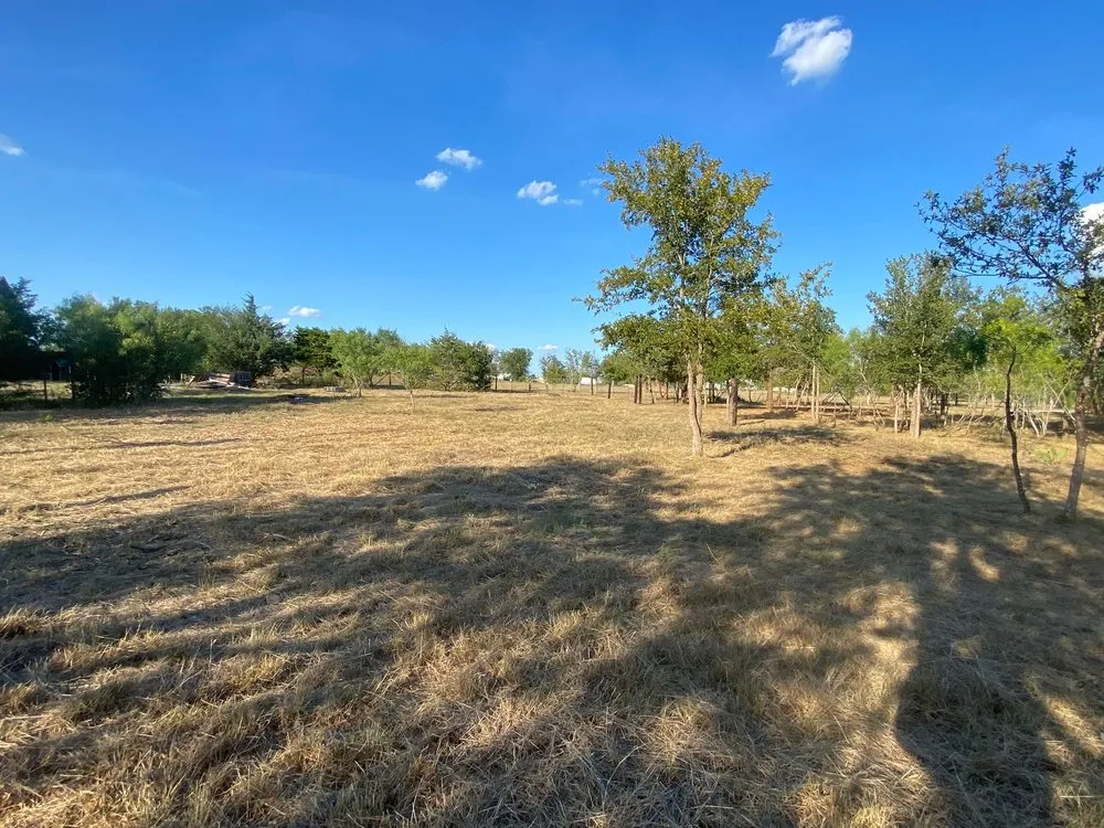 Local lawn mowing service in Austin, TX - Carlos Cholon tree service landscaping