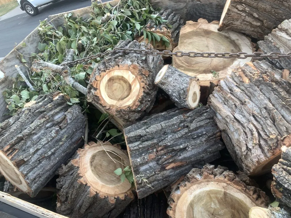 Affordable garden landscaping experts serving Austin, TX - Carlos Cholon tree service landscaping