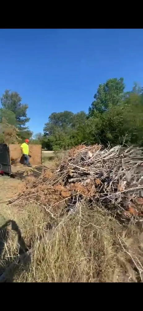Expert landscape installation in Austin, TX - Carlos Cholon tree service landscaping
