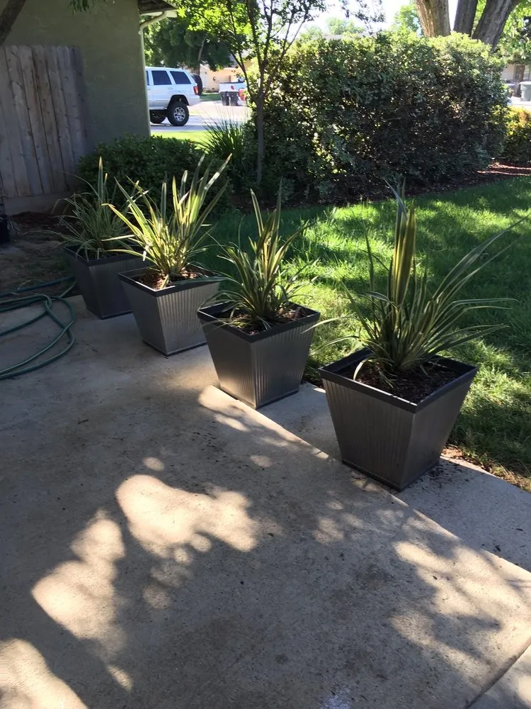 Affordable outdoor landscaping in Visalia, CA - Carlos Cruz Lawn Care