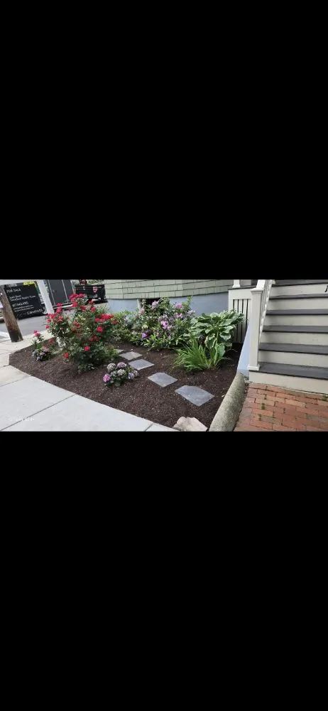 Affordable yard cleanup service for residential properties in East Boston, MA by Carlos Elvir Landscaping