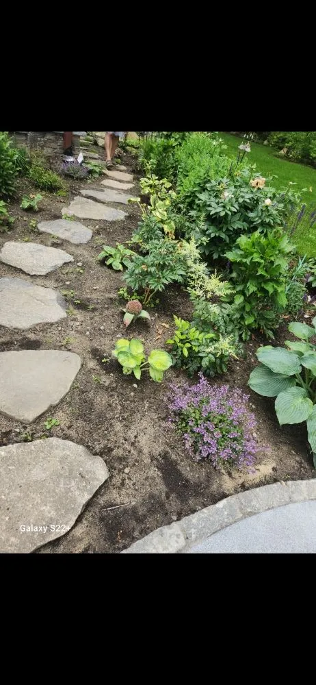 Custom yard cleanup service for year-round maintenance in East Boston, MA by Carlos Elvir Landscaping