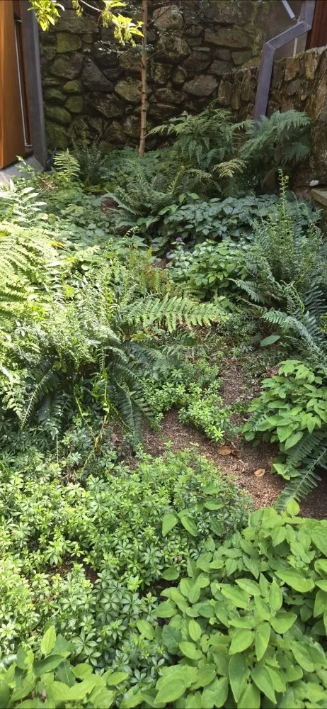 Top-rated lawn care service in East Boston, MA - Carlos Elvir Landscaping