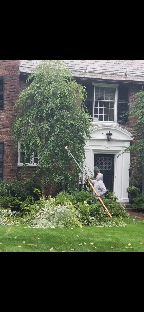 Reliable yard maintenance near you across East Boston, MA - Carlos Elvir Landscaping