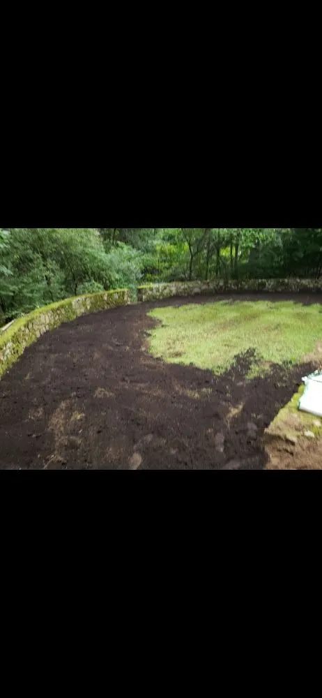 Local yard maintenance for beautiful yards in East Boston, MA by Carlos Elvir Landscaping