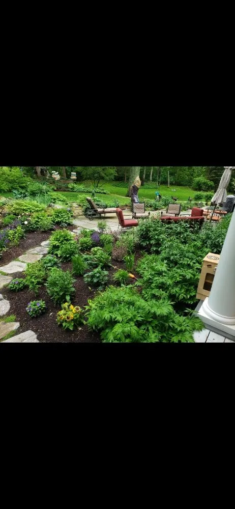 Reliable garden landscaping for residential properties across East Boston, MA - Carlos Elvir Landscaping