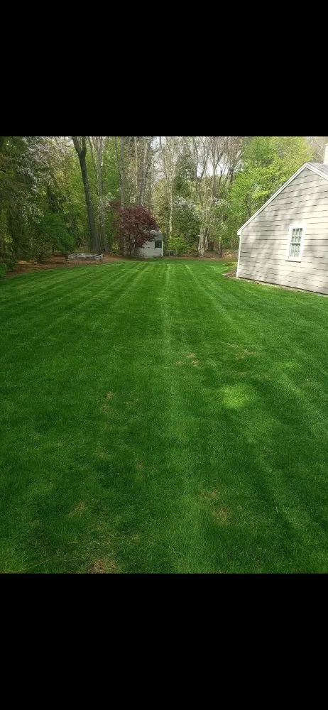 Top-rated yard maintenance in East Boston, MA - Carlos Elvir Landscaping