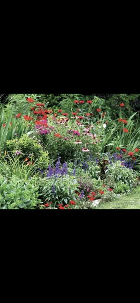 Expert yard cleanup service experts serving East Boston, MA - Carlos Elvir Landscaping