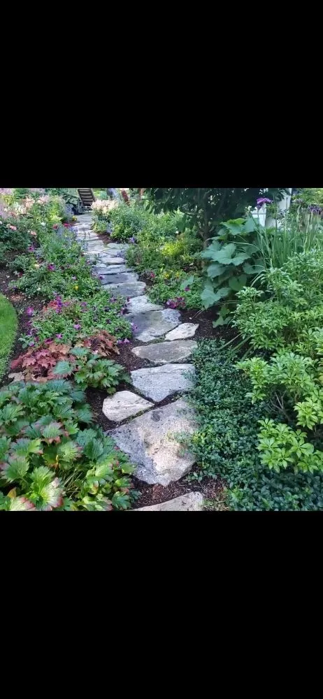 Expert yard cleanup service for residential properties in East Boston, MA by Carlos Elvir Landscaping