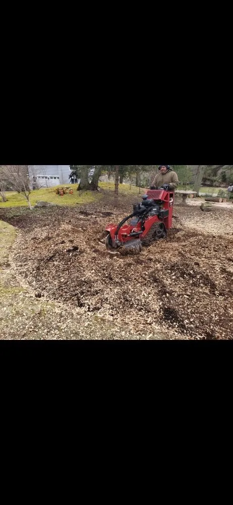 Affordable landscape installation experts serving East Boston, MA - Carlos Elvir Landscaping