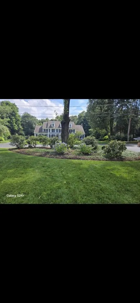Local lawn care service in East Boston, MA - Carlos Elvir Landscaping