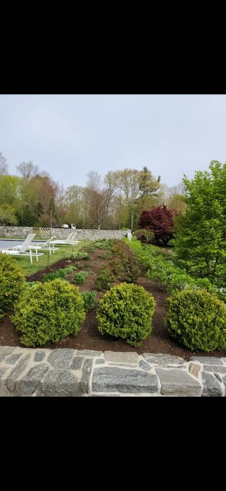 Top-rated landscaping services in East Boston, MA by Carlos Elvir Landscaping