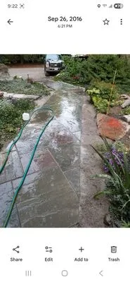 Carlos Elvir Landscaping