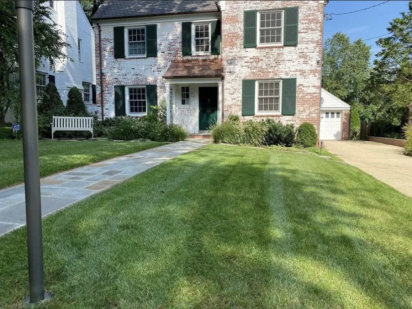 Local landscape design in Wheaton, MD - Carlos Flores Lawn & Garden