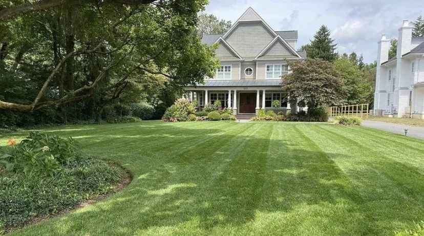 Top-rated yard cleanup service experts serving Wheaton, MD - Carlos Flores Lawn & Garden