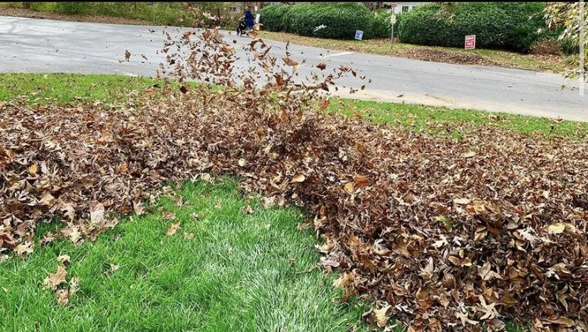 Local outdoor landscaping in Wheaton, MD by Carlos Flores Lawn & Garden