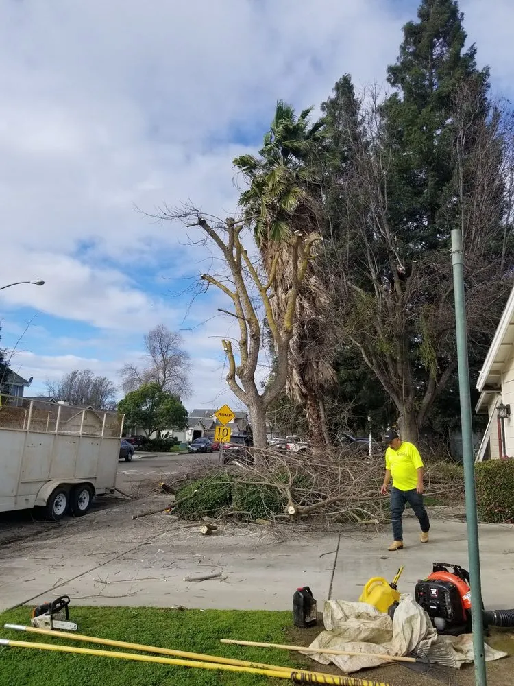 Expert lawn mowing service in Fresno, CA by Carlos G Landscaping