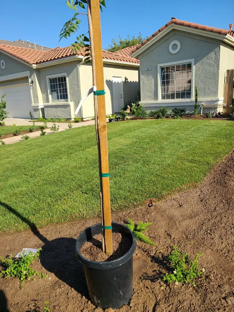 Expert landscaping services for residential properties across Fresno, CA - Carlos Garcia Yard Services