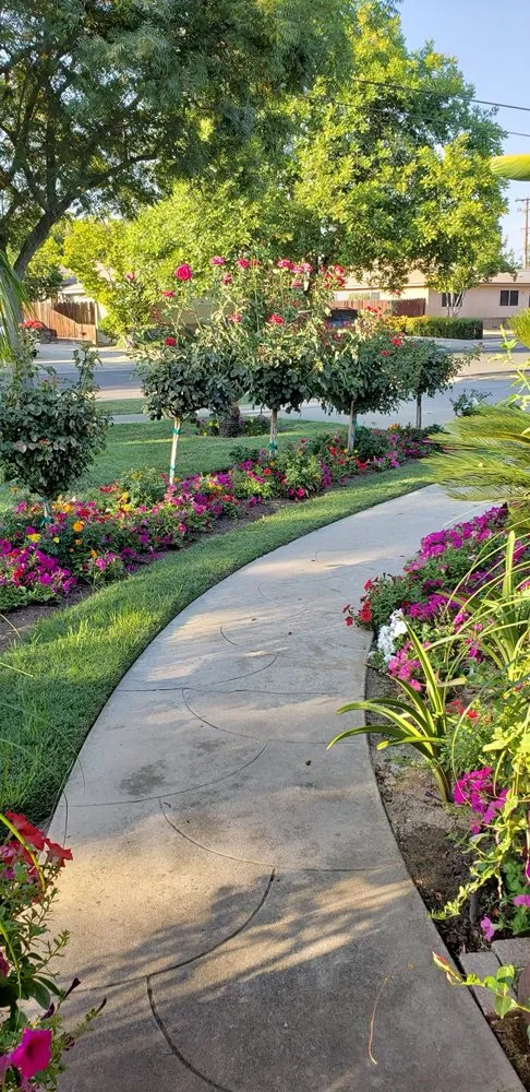 Local lawn care service for homes in Fresno, CA by Carlos Garcia Yard Services