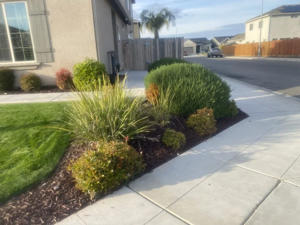 Reliable landscape design in Fresno, CA - Carlos Garcia Yard Services