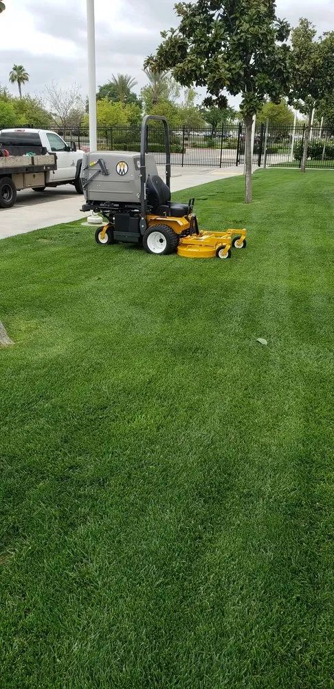 Custom garden landscaping for outdoor upgrades in Fresno, CA by Carlos Garcia Yard Services
