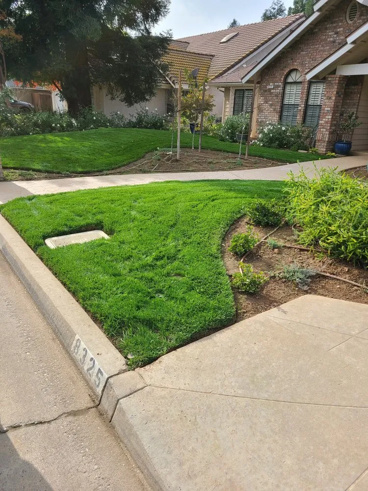 Trusted residential landscaping in Fresno, CA by Carlos Garcia Yard Services