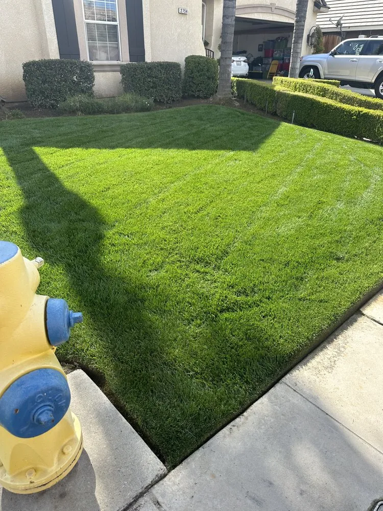 Local lawn mowing service for year-round maintenance in Fresno, CA by Carlos Garcia Yard Services