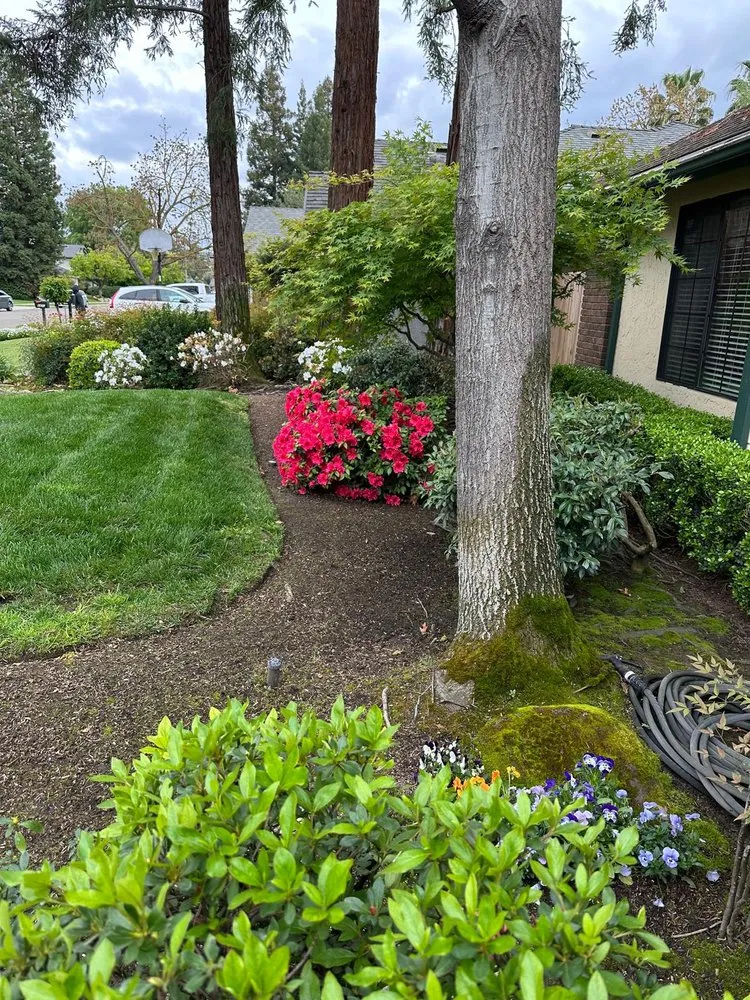 Reliable landscape installation for residential properties in Fresno, CA by Carlos Garcia Yard Services