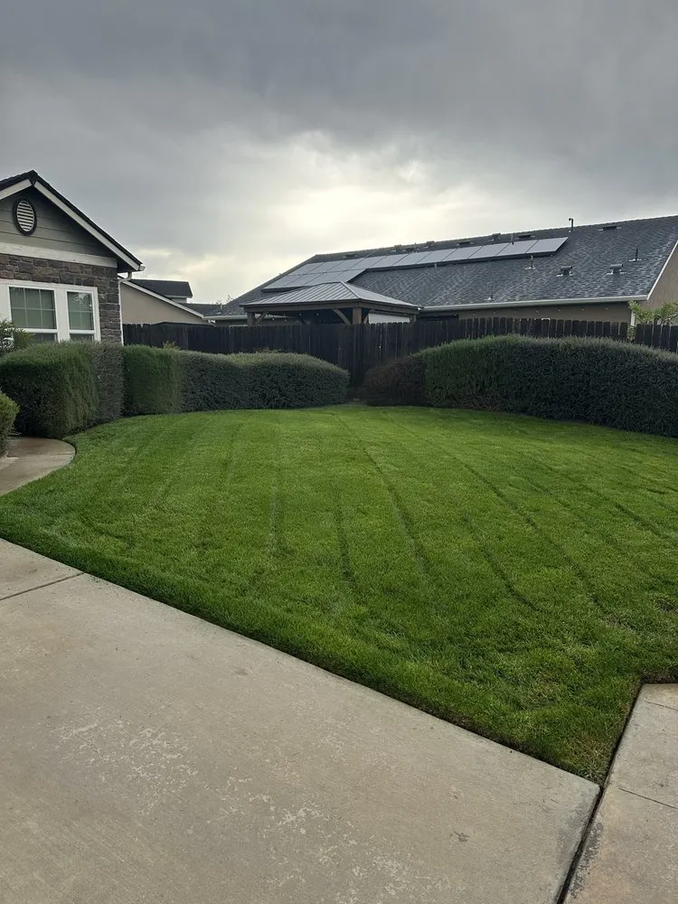 Professional landscape design in Fresno, CA by Carlos Garcia Yard Services