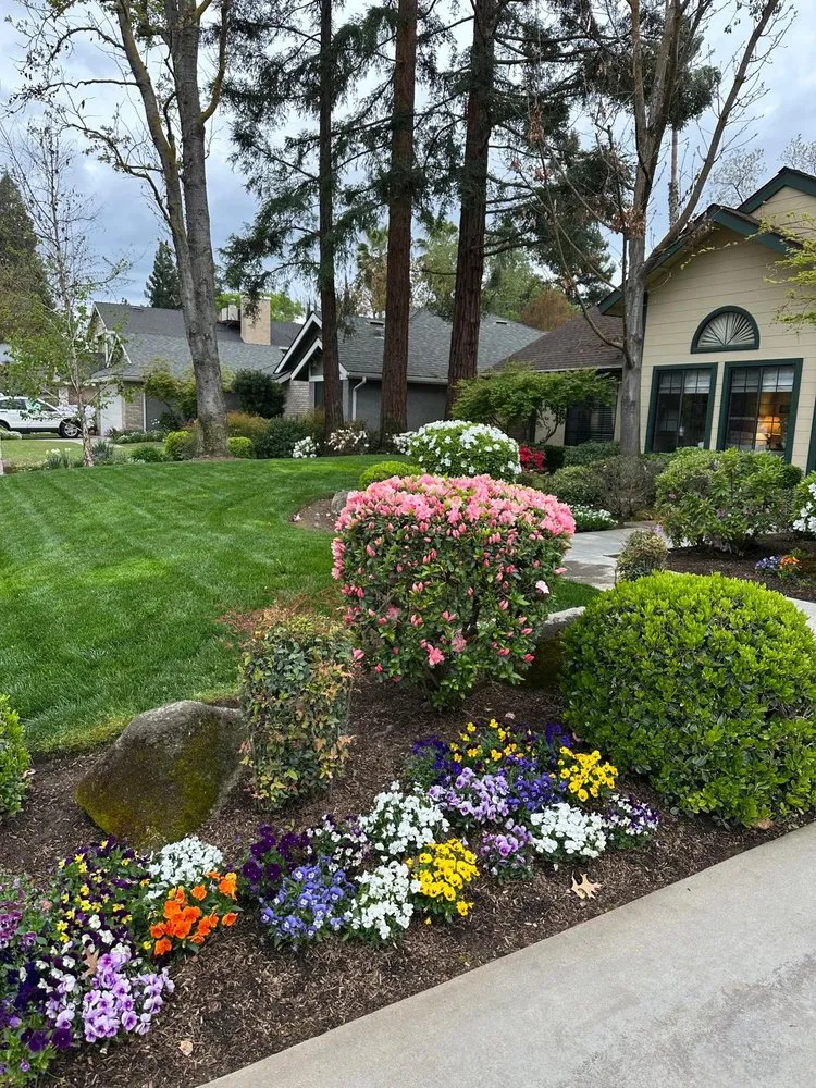 Top-rated yard maintenance for homes across Fresno, CA - Carlos Garcia Yard Services