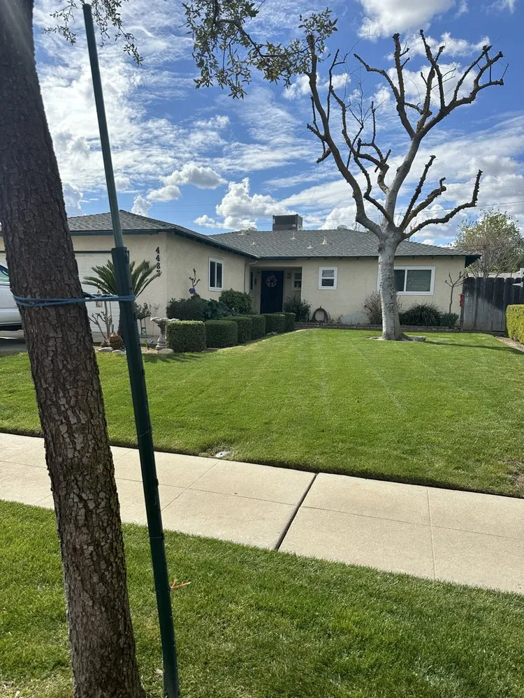 Affordable lawn care service for year-round maintenance in Fresno, CA by Carlos Garcia Yard Services