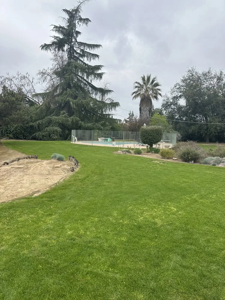 Reliable yard maintenance for homes across Fresno, CA - Carlos Garcia Yard Services