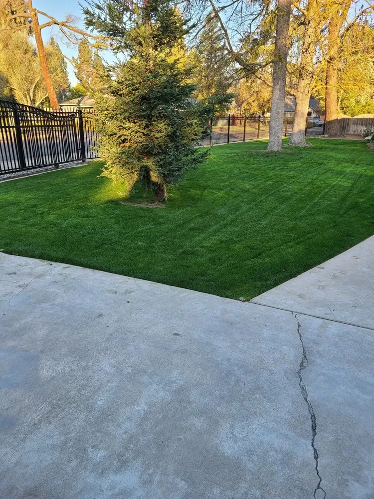 Top-rated residential landscaping for residential properties across Fresno, CA - Carlos Garcia Yard Services
