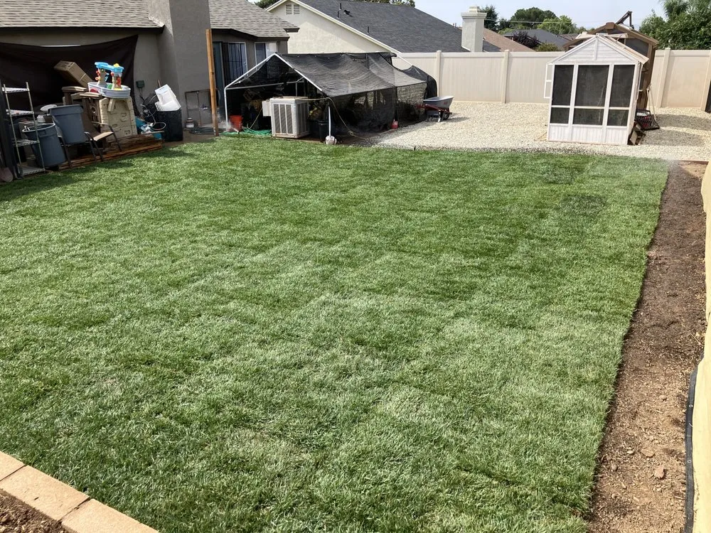 Reliable lawn care service for outdoor upgrades across Calimesa, CA - Carlos jr landscaping