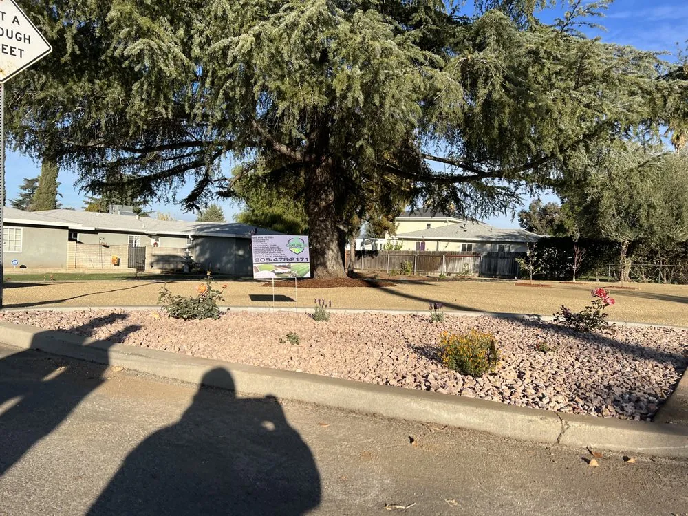 Expert residential landscaping near you across Calimesa, CA - Carlos jr landscaping