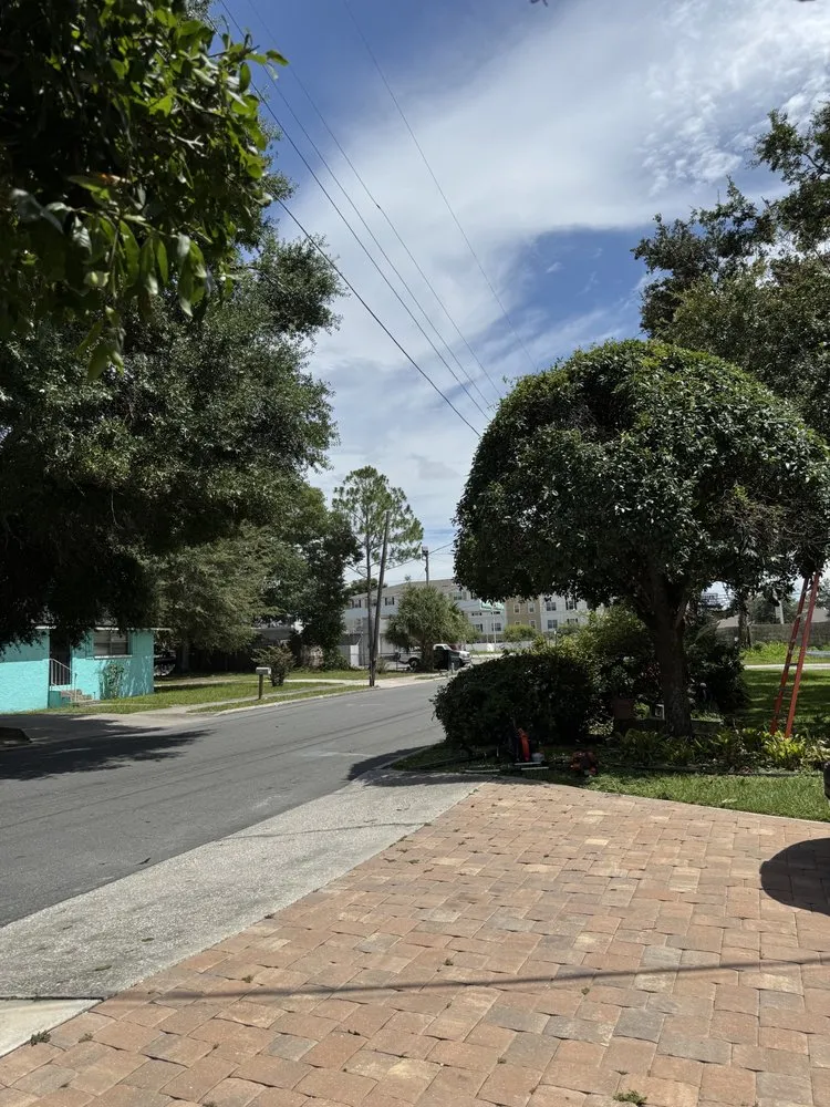 Reliable residential landscaping in Lakeland, FL - Carlos