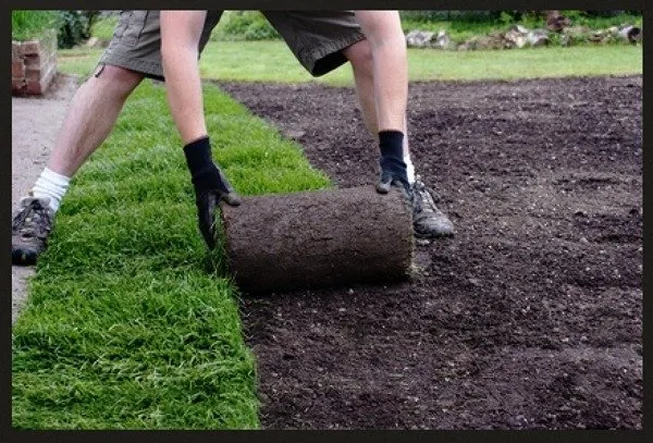 Top-rated lawn mowing service in Lakeland, FL by Carlos