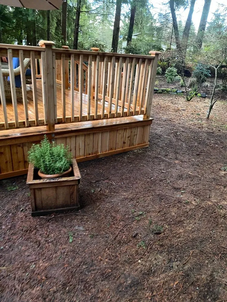 Top-rated yard maintenance with custom design in Bremerton, WA by Carlos Landascaping