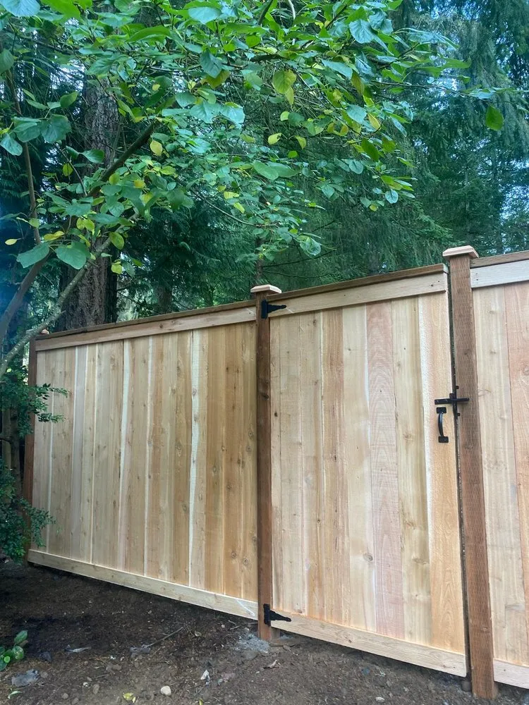 Reliable landscaping services near you across Bremerton, WA - Carlos Landascaping