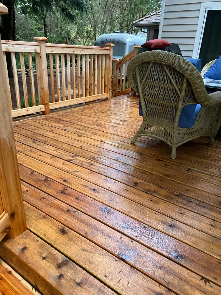 Professional yard cleanup service for year-round maintenance across Bremerton, WA - Carlos Landascaping