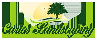 Trusted outdoor landscaping with custom design in Baltimore, MD by Carlos Landcasping
